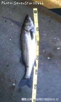 �����Х�