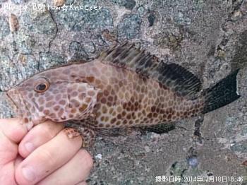 �������ϥ�