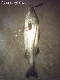 �����Х�