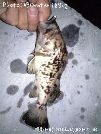 ¥¿¥±¥Î¥³¥á¥Ð¥ë