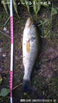 �֥�å��Х�