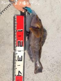 �����ʥ�