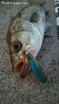 �����Х�