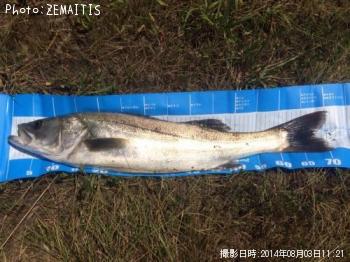 �����Х�