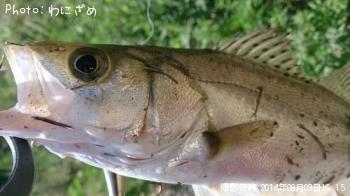 �����Х�