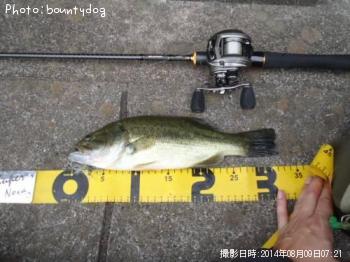 �֥�å��Х�