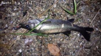 �����Х�