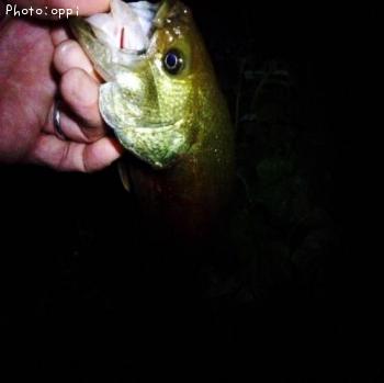 �֥�å��Х�