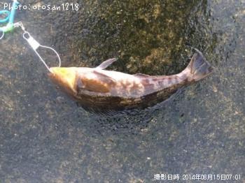 �����ʥ�