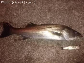 �����Х�