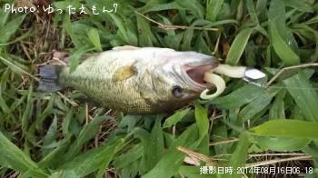 �֥�å��Х�