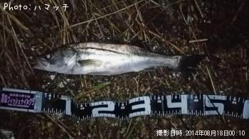 �����Х�