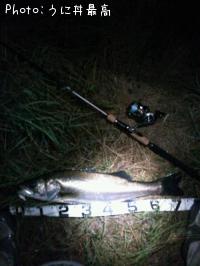 �����Х�