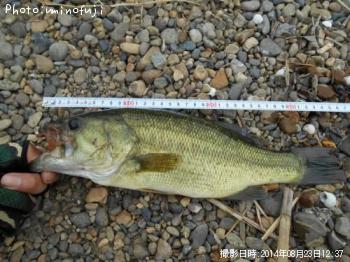 �֥�å��Х�