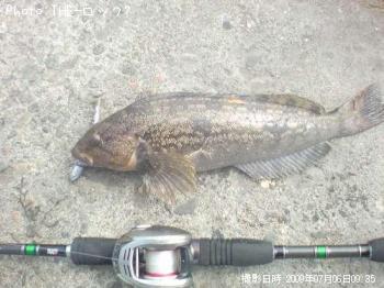 �����ʥ�