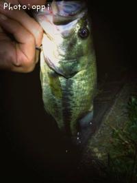 �֥�å��Х�