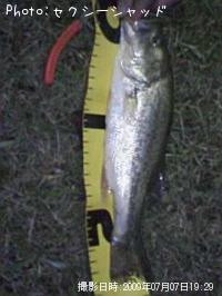 �֥�å��Х�