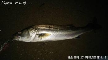 �����Х�