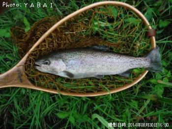 ¥ì¥¤¥ó¥Ü¡¼¥È¥é¥¦¥È