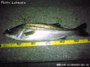 �����Х�