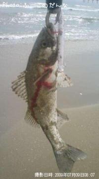 �����Х�