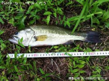 �֥�å��Х�