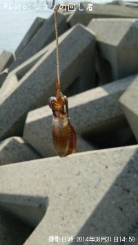 ¥¢¥ª¥ê¥¤¥«