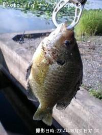 �֥롼����