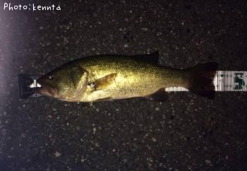 �֥�å��Х�