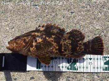 �����Υ���Х�