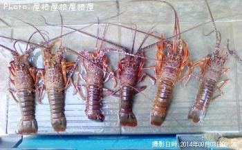 ������Ϸ