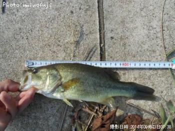 ¥Ö¥é¥Ã¥¯¥Ð¥¹