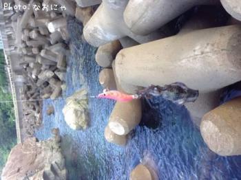 �����ꥤ��