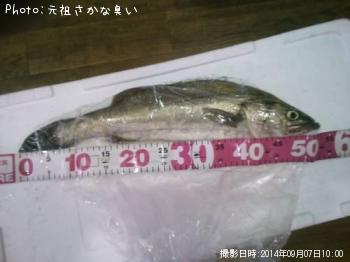 �����Х�