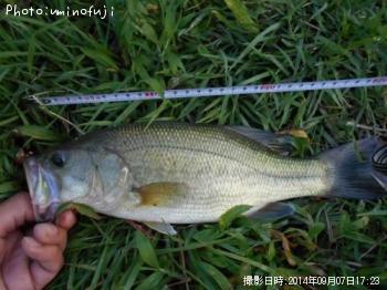 �֥�å��Х�