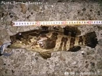 ���㥤���ޥ�ϥ�