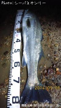 �����Х�