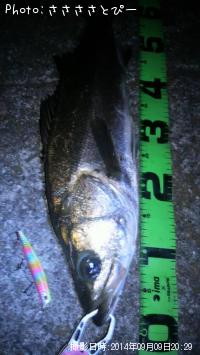 �����Х�