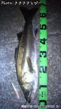 �����Х�