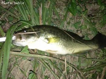 ¥Ö¥é¥Ã¥¯¥Ð¥¹