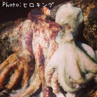 ¥¢¥ª¥ê¥¤¥«