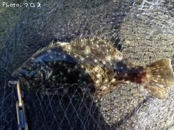 ³°Æ»¤Î¥½¥²