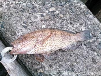 �������ϥ�