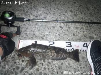 �����ʥ�