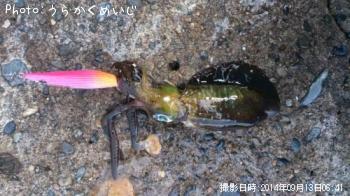 �����ꥤ��