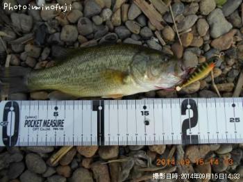 ¥Ö¥é¥Ã¥¯¥Ð¥¹