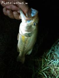 �֥�å��Х�