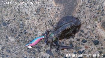 �����ꥤ��