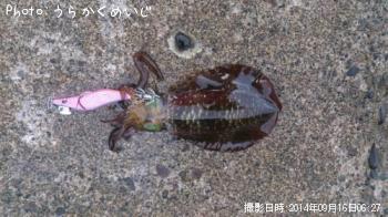 �����ꥤ��