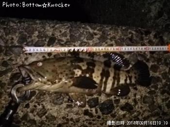 ���㥤���ޥ�ϥ�